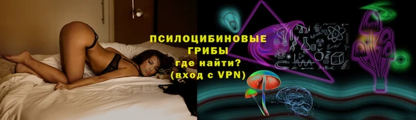 ECSTASY Алзамай