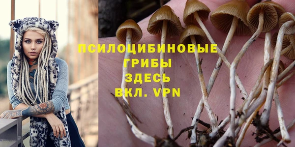 дмт Семёнов