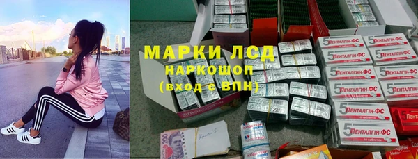 ECSTASY Алзамай