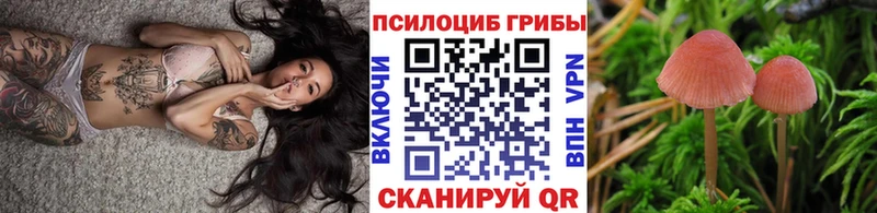 Псилоцибиновые грибы GOLDEN TEACHER Сельцо